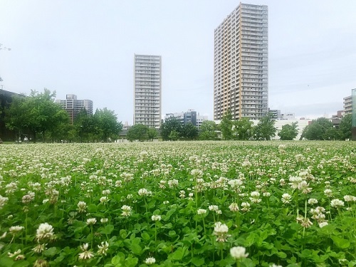 緑地のイメージ